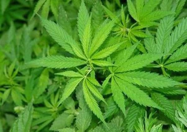 The report proposes the regulation and legalisation of cannabis