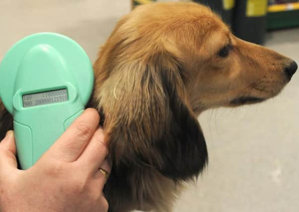 From April 6, all dogs in England, Scotland and Wales will have to be microchipped. In Northern Ireland, it is already a legal requirement.