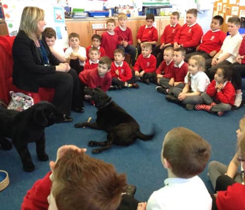 Training dog Jet joins the class at Ridge Community Primary Schoool