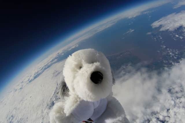 Sam the Dog reaches the edge of space after being launched by Morecambe Bay Primary School children near the Midland Hotel in Morecambe.