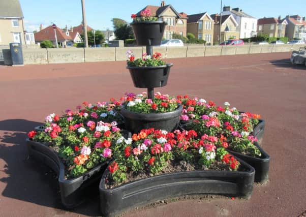 Entries are now being invited for the 2016 Morecambe in Bloom competition.