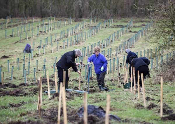 Photo Ian Robinson
The Valentine's Day tree planting at the woodland burial site in Penworthham
