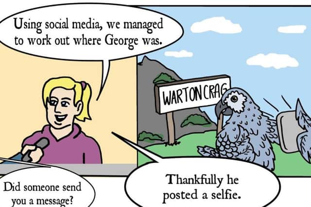 Cartoon by Jack Knight following social media search for missing parrot.