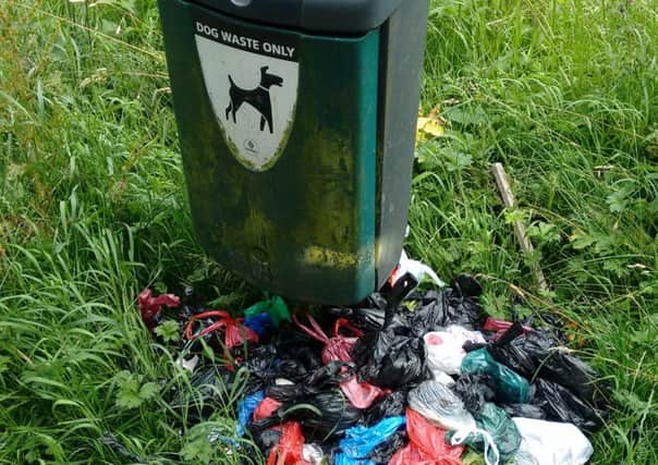 The dog poo bin on the cycle track near Caton is overflowing.