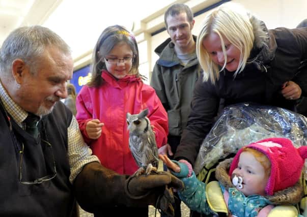 Willow Riley, Joanne Gallagher, Thomas Riley and Rachael Wright meet one of the birds on display when Nick Henderson from Corio Raptor Care, Bentham visited the Arndale Centre, Morecambe on Saturday.