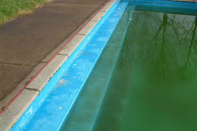 A green swimming pool before treatment by Aqua Engineering.