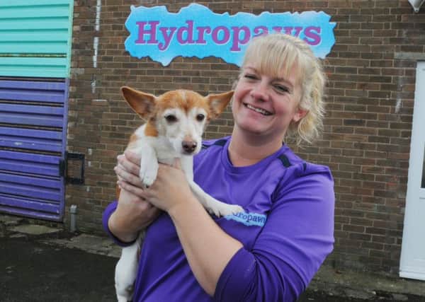 Gail Baker with her dog Ellie, at her new dog therapy and grooming business, Hydropaws, at Whitefield Place, Morecambe.