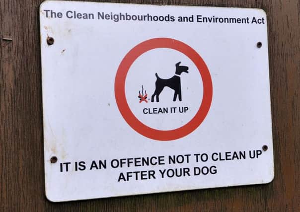 A councillor says Lancaster City Council's use of covert surveillance powers to catch dog foulers in the act was "appalling".