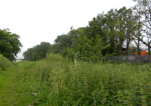 Part of Lancaster Canal were weeds and bushes have overgrown.
