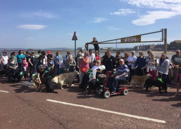 Walkers on the prom at last year's sponsored event.