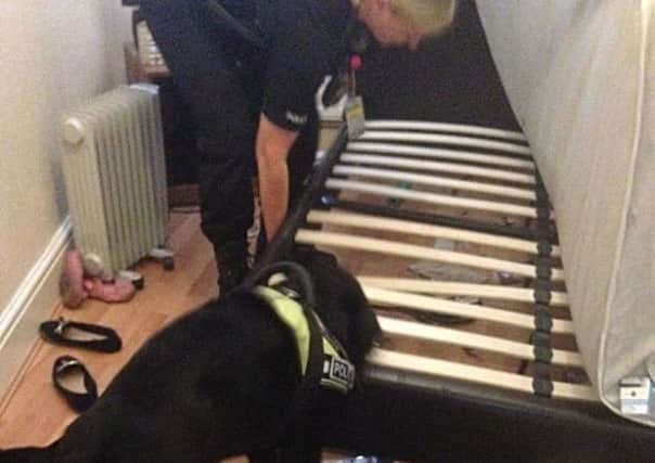 PC Sue Smith and Police dog Tank search one of the properties in Morecambe.
