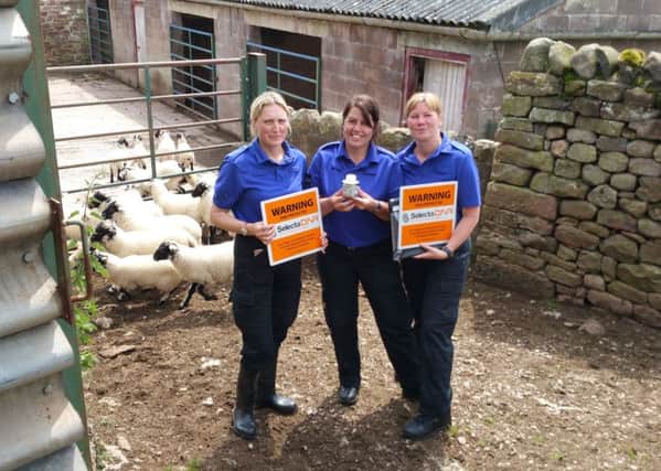 PSCOs (from left):  Karen Dakin, Amanda Coleman, Janet Allinson, as they mark the first sheep with SelectaDNA.