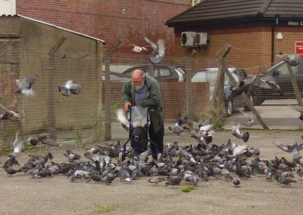Pigeon man John Wilkinson feeding the birds on wasteland near his home on Cavendish Road, Morecambe.