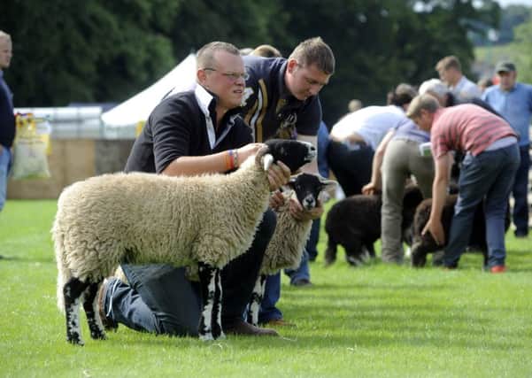 Lunesdale Agricultural Show is ending after 177 years.