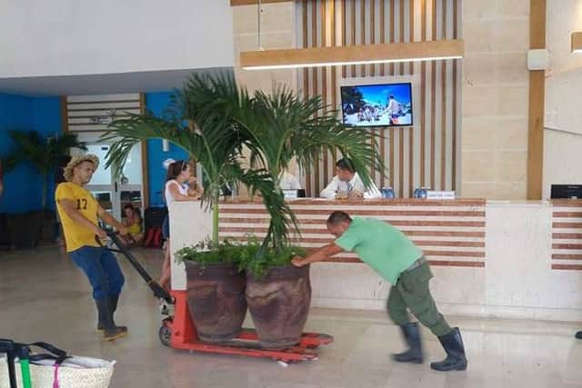 Hotel staff move trees to safety as the hurricane strikes Cuba.