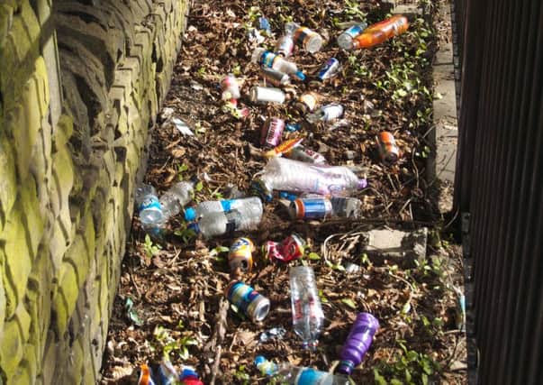 Photo of rubbish adjacent to Heath Road sent in by reader