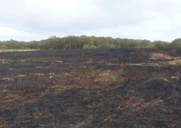 Heysham Moss after arsonists struck earlier this year.