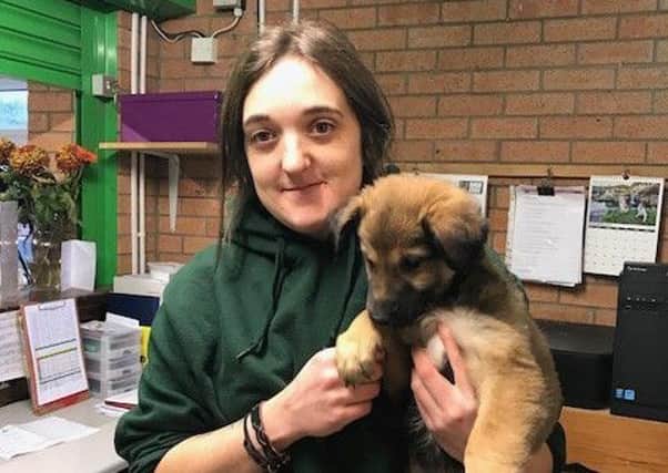 Manager at Animal Care Abi Sadler with Max the puppy who is being looked after until he can be rehomed.