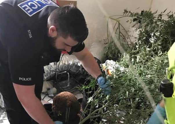 A large amount of cannabis wasa found at an address in Morecambe