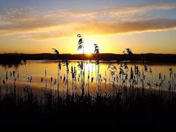 Head to Brockholes Nature Reserve for an After Dark Walk