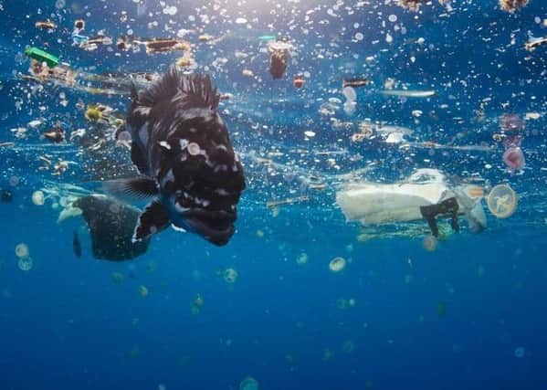 Plastic pollution in the sea. Picture by Blue Planet 2, BBC.