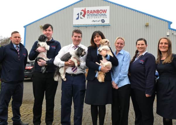 Rainbow International team: Steven Richardson, Josh Hoyle, Jonathan and Maureen Hargreaves-Townson, Vicky Elder, Kerry Longstaff and Stacey Hough with office dogs Toby, Ralphie and Buster