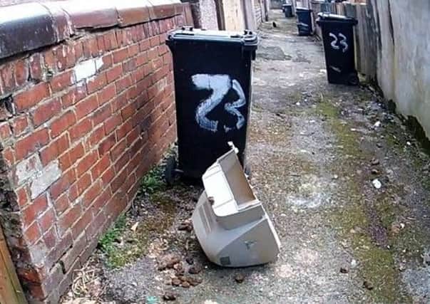 The dog poo in one of the alleyways in Morecambe.