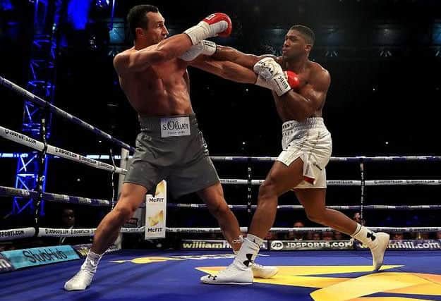 Anthony Joshua, pictured in his fight with Wladimir Klitschko, has sent a message to Reece Holt.
